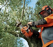 Бензопила Husqvarna T435 в работе